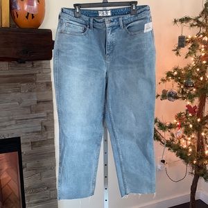 Free People Curvy Stretch size 33 NWT